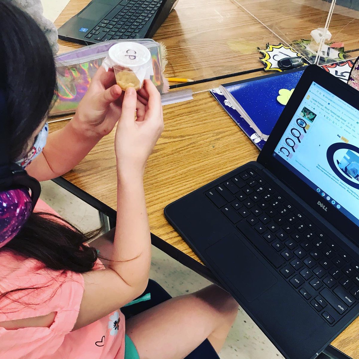 bethel1964's tweet photo. Spring has sprung in 2nd grade!
Check out these Super Second Grade Scientists as they begin to explore and learn all about the life cycle of the butterfly! Science is so much fun! ๐ฆ ๐ #CardinalsFlyHigh #StillFlyingHigh https://t.co/rqXGFQi23V