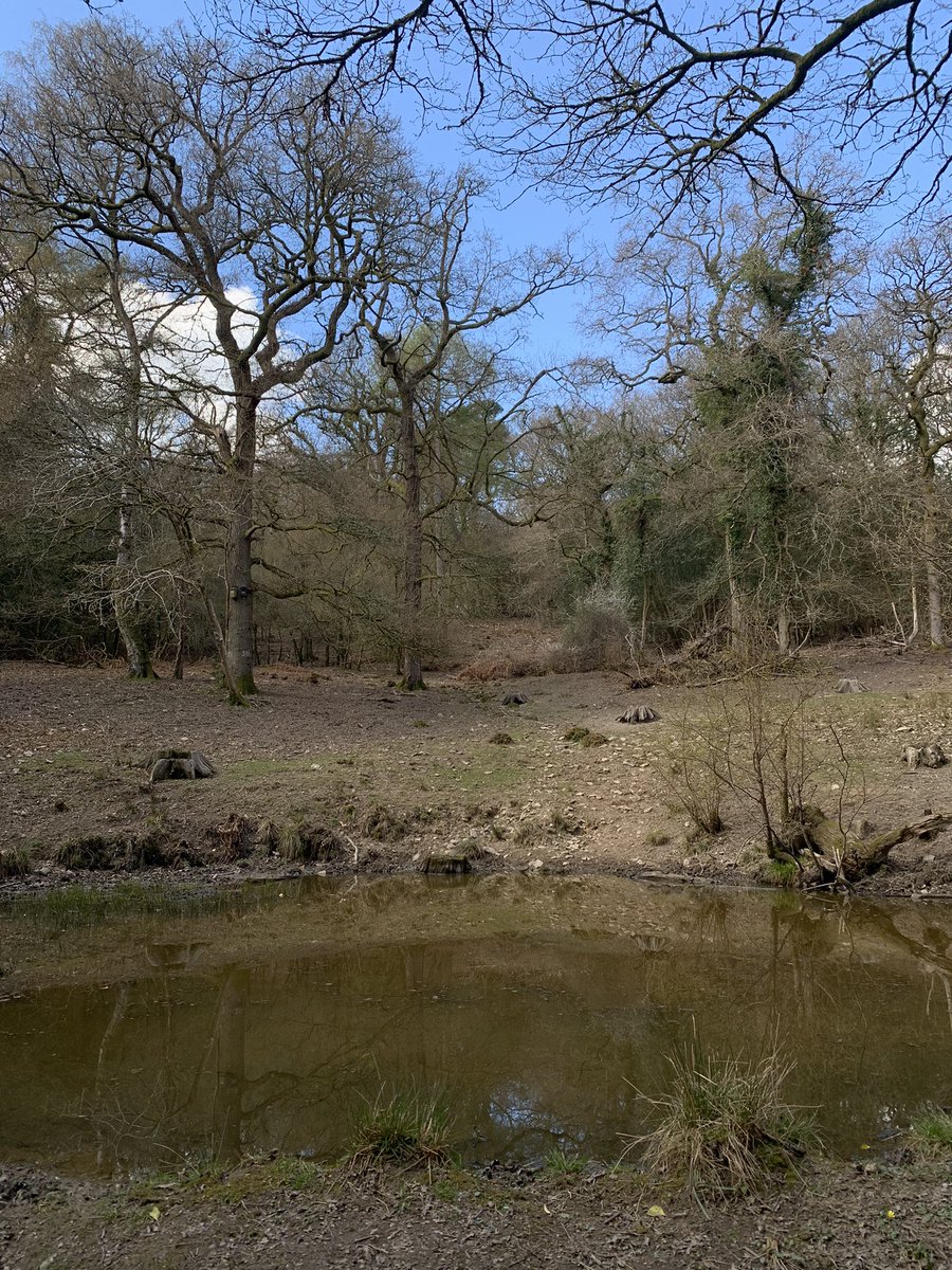 Deanfield Guest Accommodation tweet media