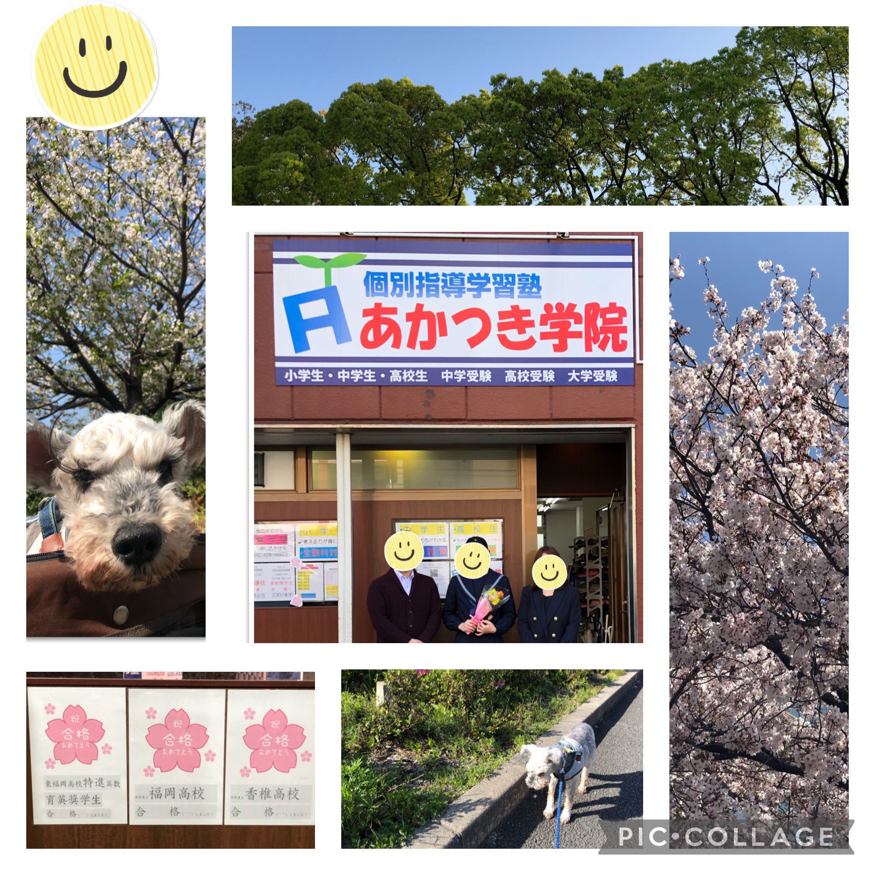 東福岡自彊館中学校 Twitter Search Twitter