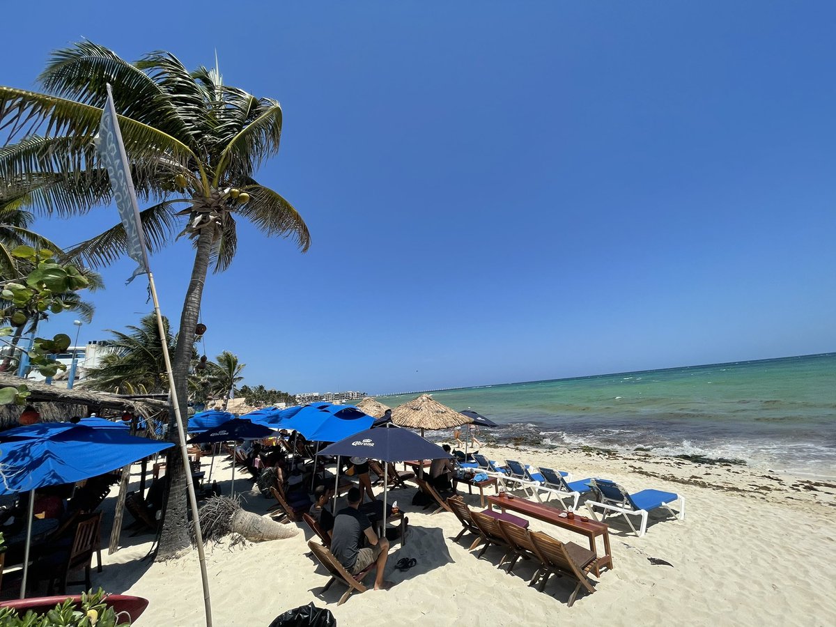 My office for today 🌴🌊🏝❤️🇲🇽 #nocomplaints