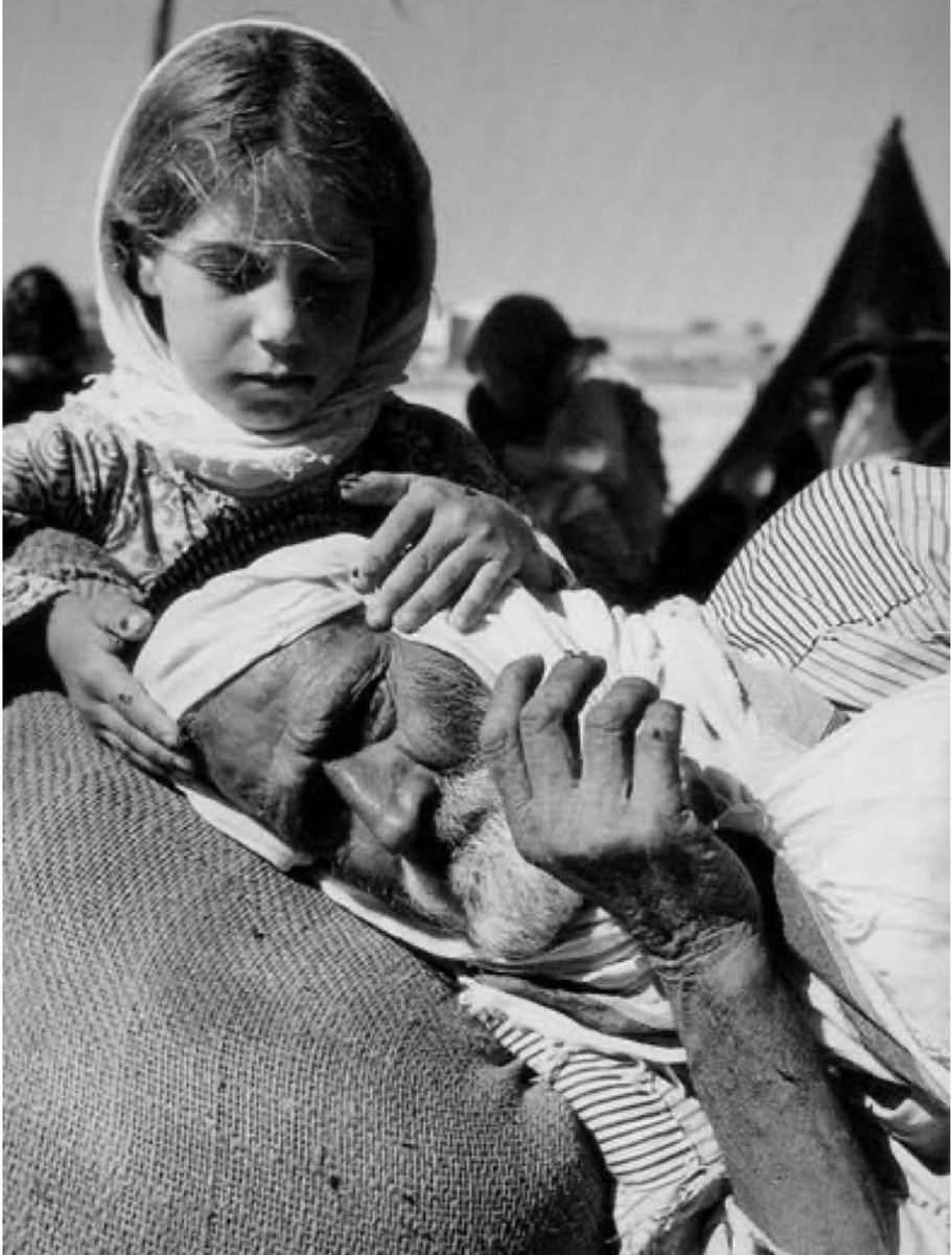 البنت ونس الخاطر وقرة العين
قل يالله ارزقني وسهل دروبي

الرجل لا ما صار له بنت ..بنتين
يقضي حياته تحسب انه عزوبي

#محمد_المقحم