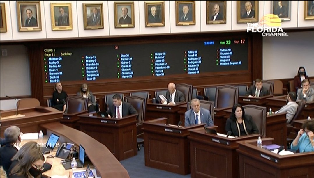 Dreamdefenders's tweet image. BREAKING: Florida Senate votes through HB-1 with 23 Y and 17 N