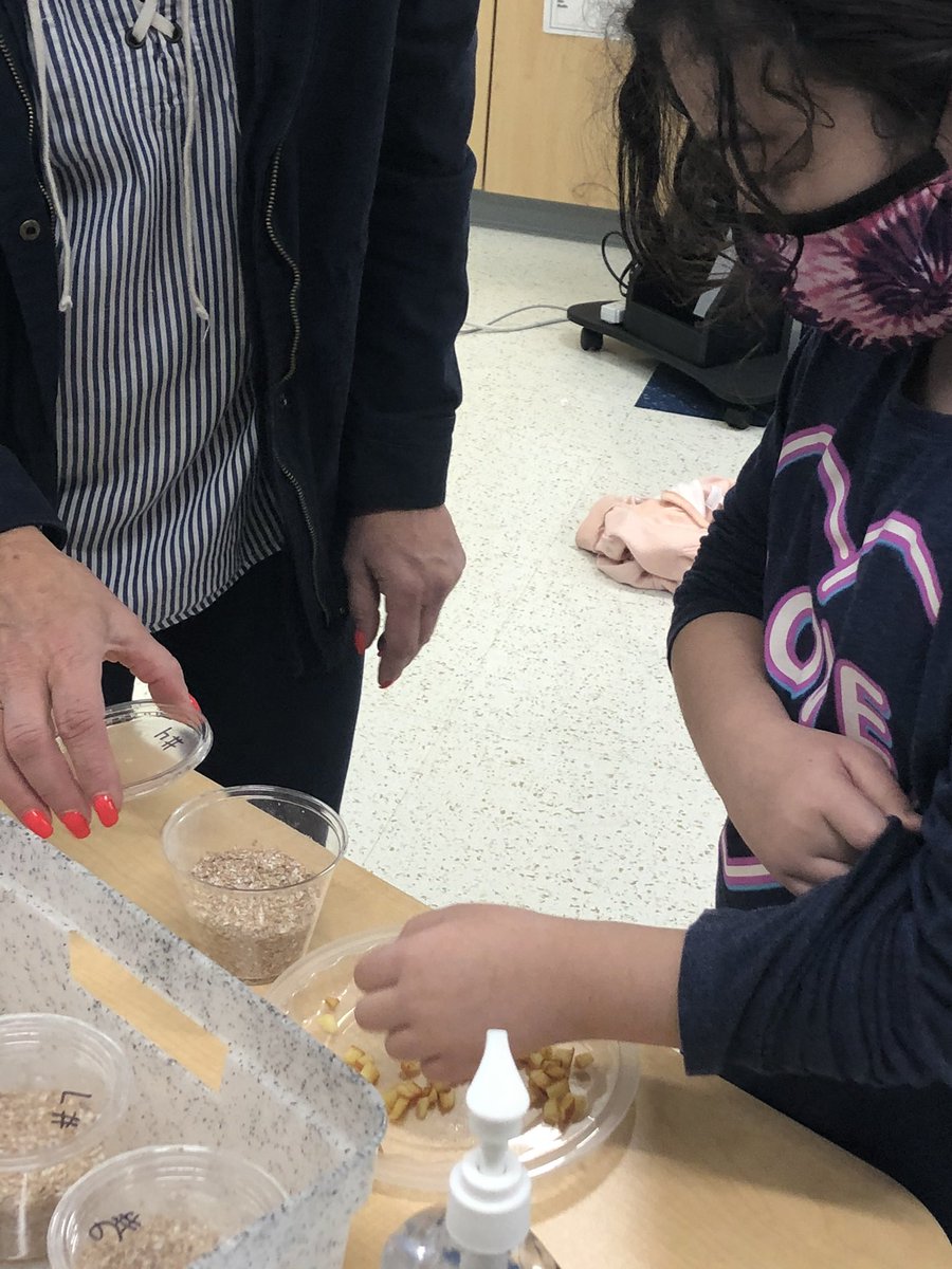 Kristin Mangan tweet media