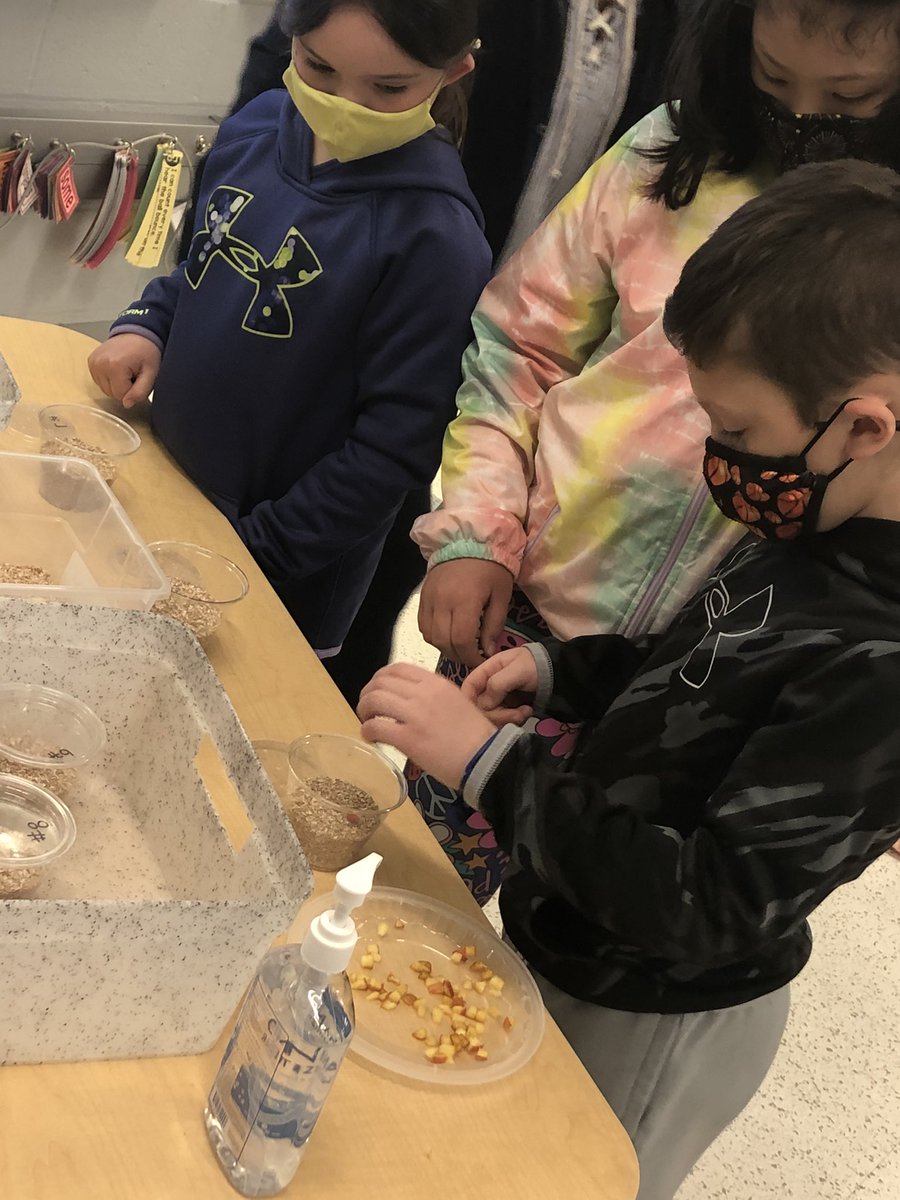 Kristin Mangan tweet media