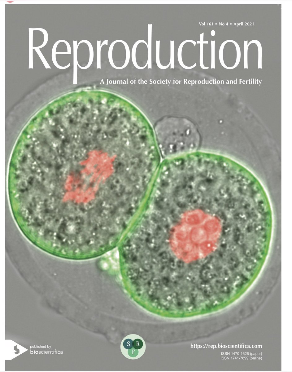 The cover of <a href="/ReprodJournal/">Reproduction journal</a> looks rather nice this month. Image by <a href="/CRCHUM/">Centre de recherche du CHUM</a>’s <a href="/Adelaide_Allais/">Adélaïde Allais</a> and <a href="/paim_lia/">Lia Paim</a>. @SRF_Repro