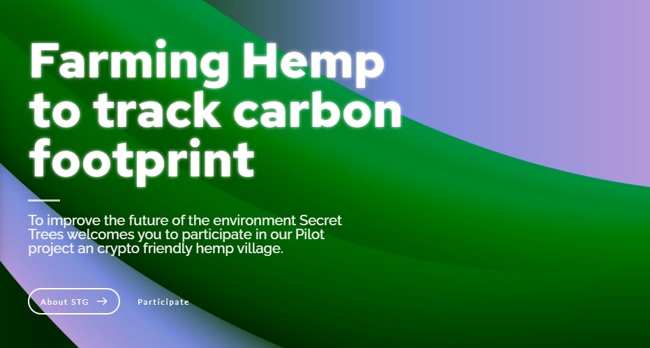 Secret Trees tweet media