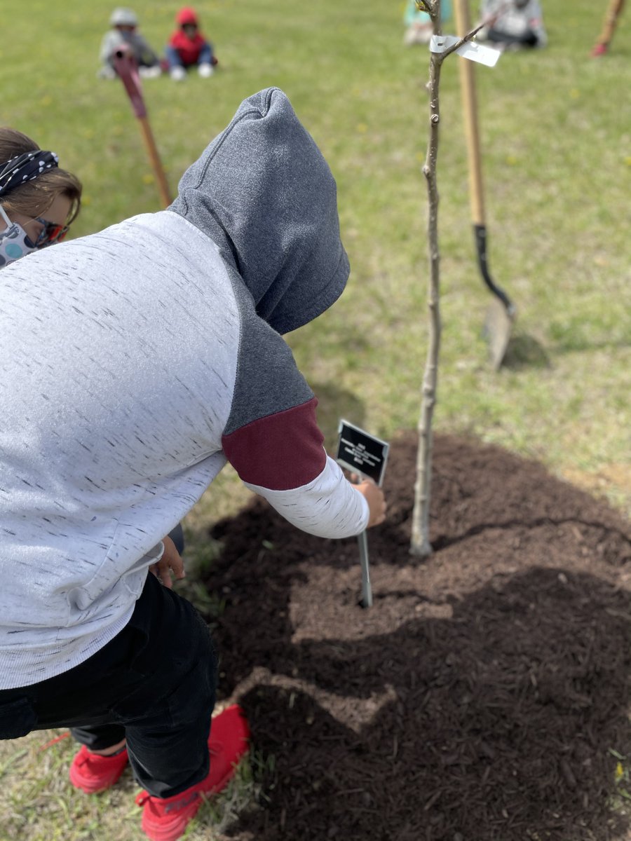 Erin Naylor tweet media