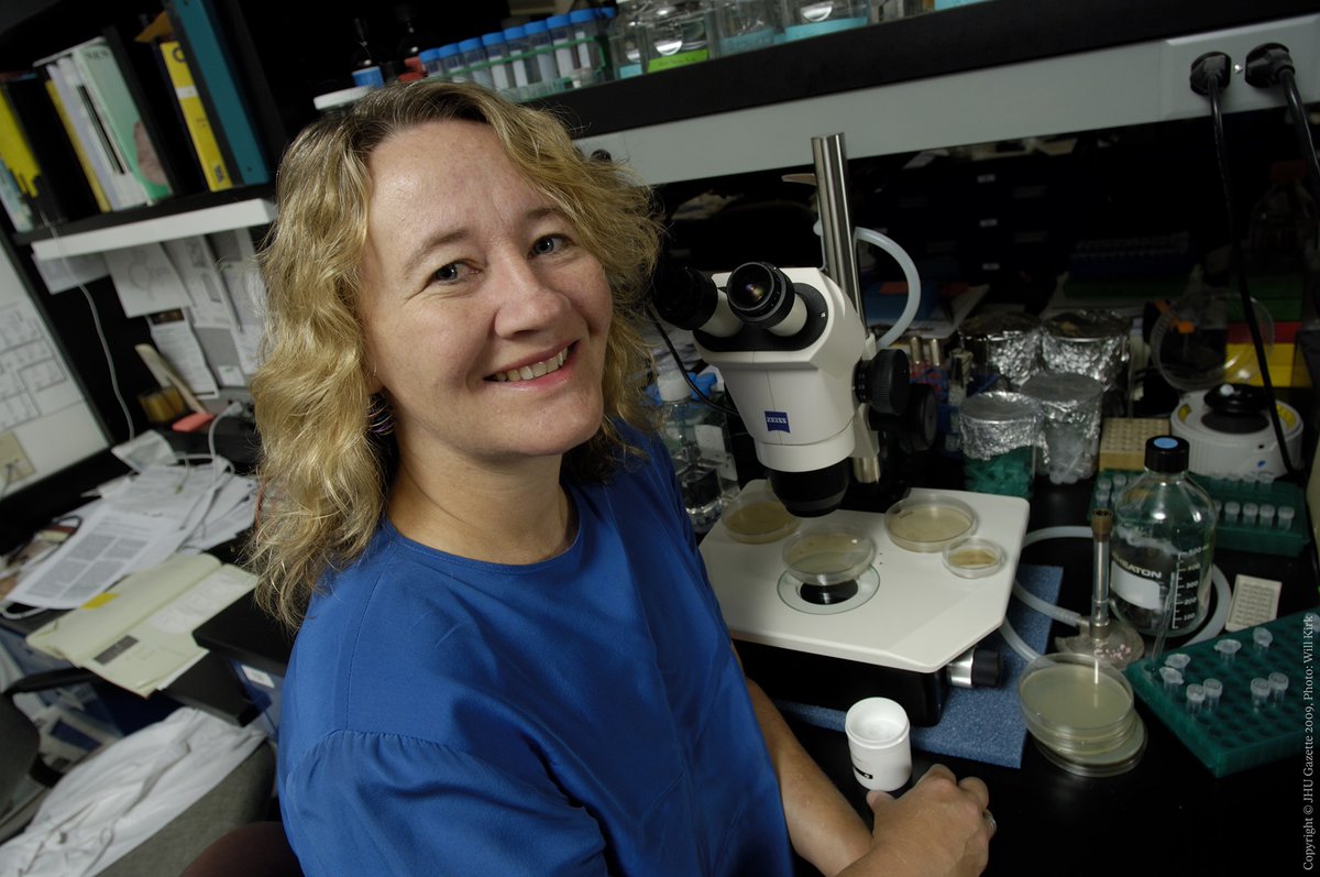 At the age of 23, before she’d even earned her PhD, Carol Greider made the discovery that would earn her the 2009 medicine prize. Along with her supervisor and co-laureate Elizabeth Blackburn she discovered the enzyme telomerase. 

Today it's Greider's birthday - happy birthday!