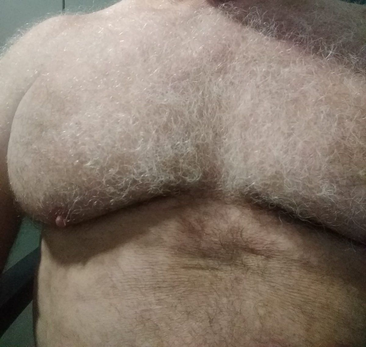 🐼