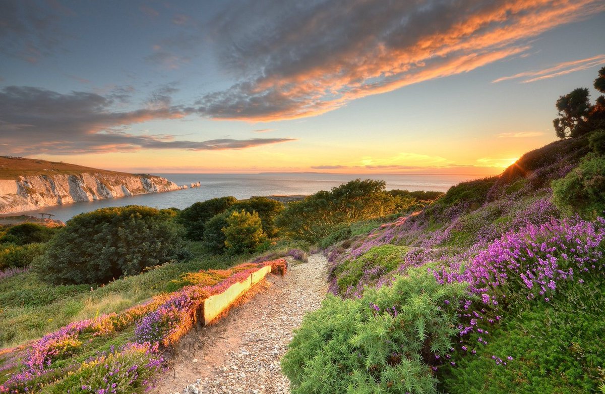 Looking for staycation inspo on the Isle of Wight?  👉 buff.ly/31Ek0hS
📍 Headon Warren