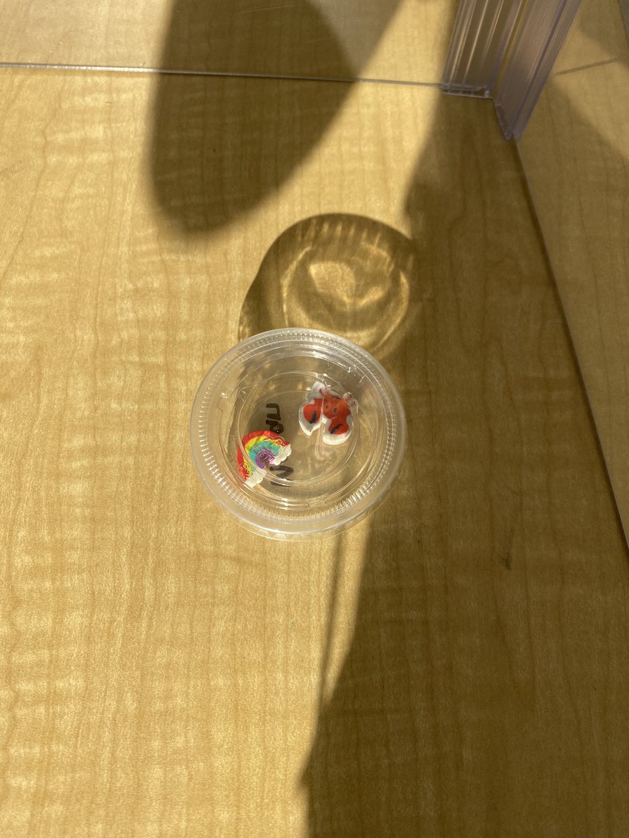 Desk pets have arrived in room 132 for both in-person and virtual students! Everyone has been working so hard to earn points that can be traded in for our desk pets!!! 🤗 <a href="/Lansdowne_ES/">Lansdowne Elementary</a>