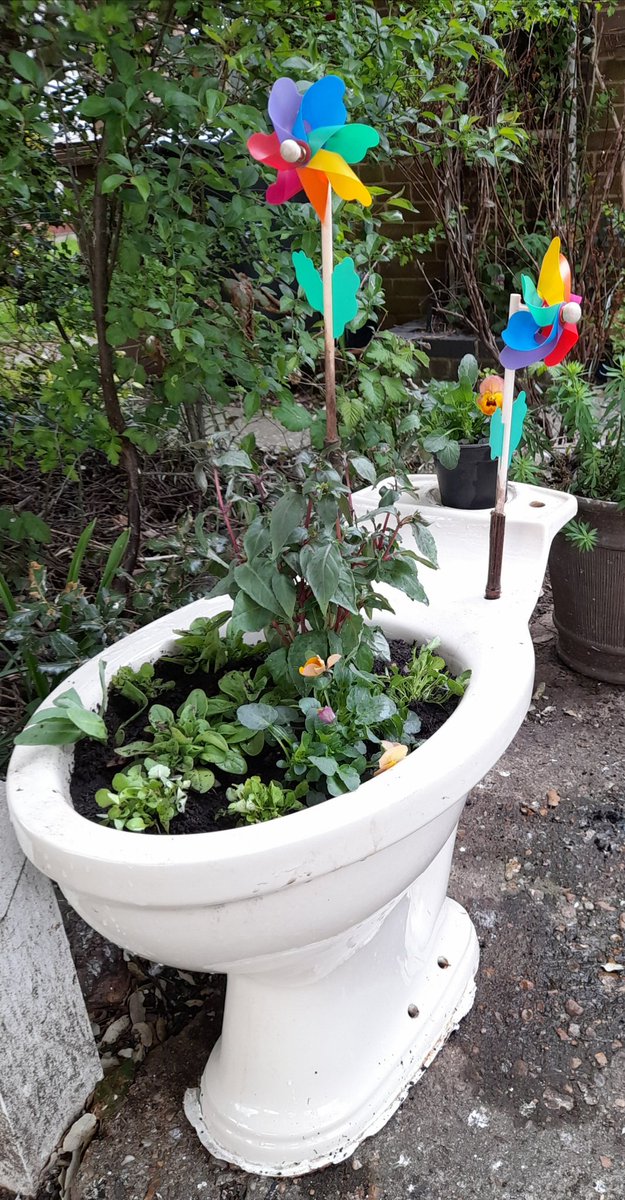 snapperchap's tweet photo. I never promised you a bog garden... #flushingmeadow #reuserecyle https://t.co/AYSHJ63e8h