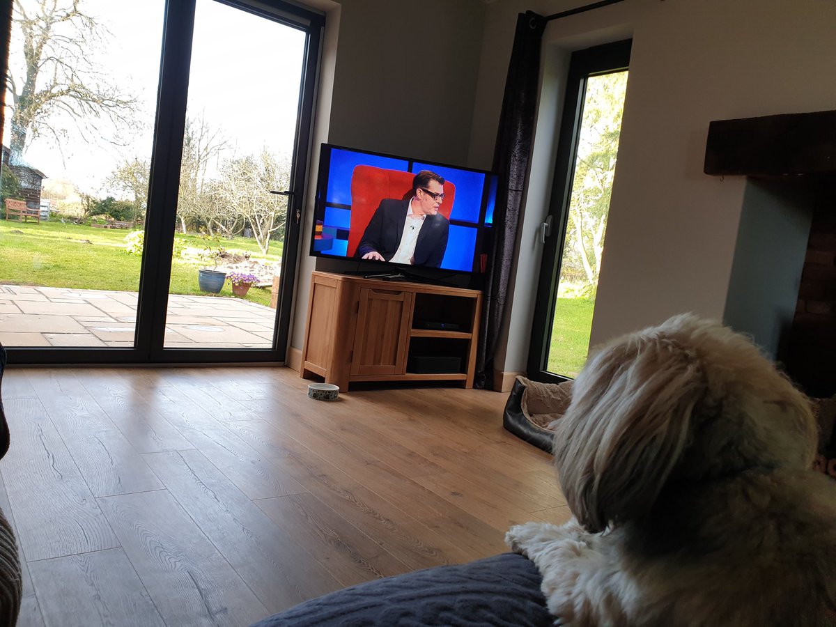 Nicola Mears tweet media