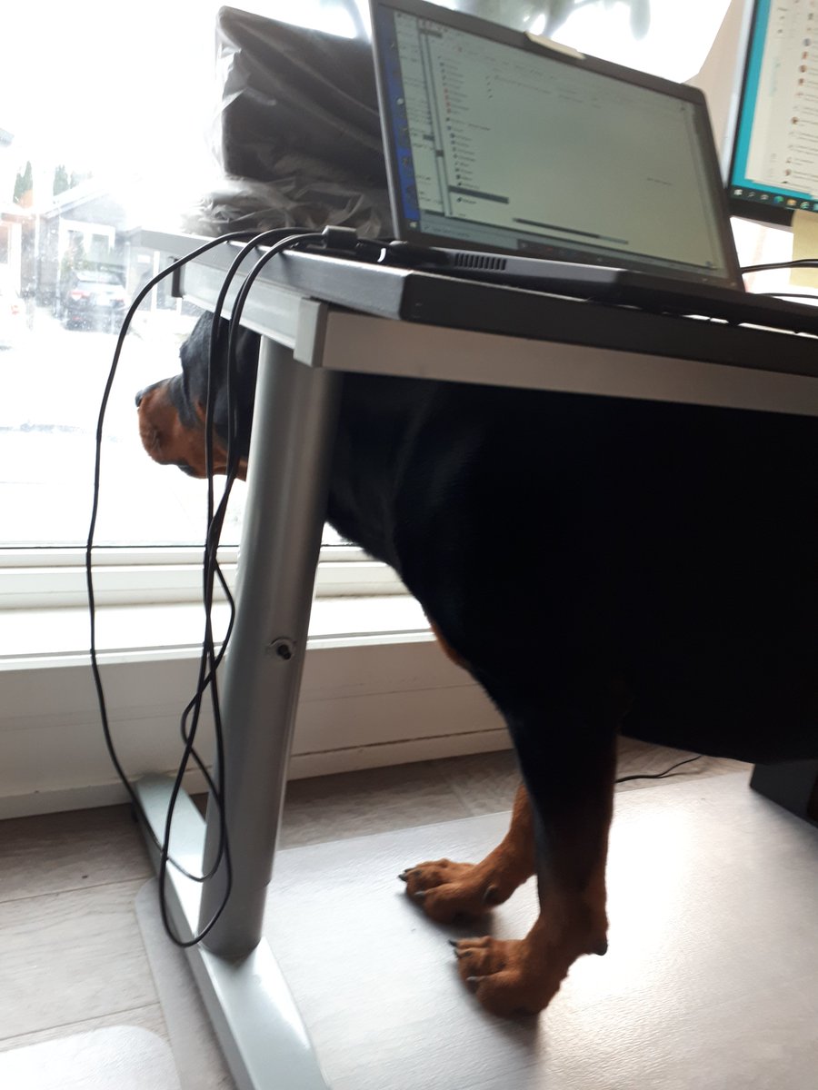 Michael Keara tweet media