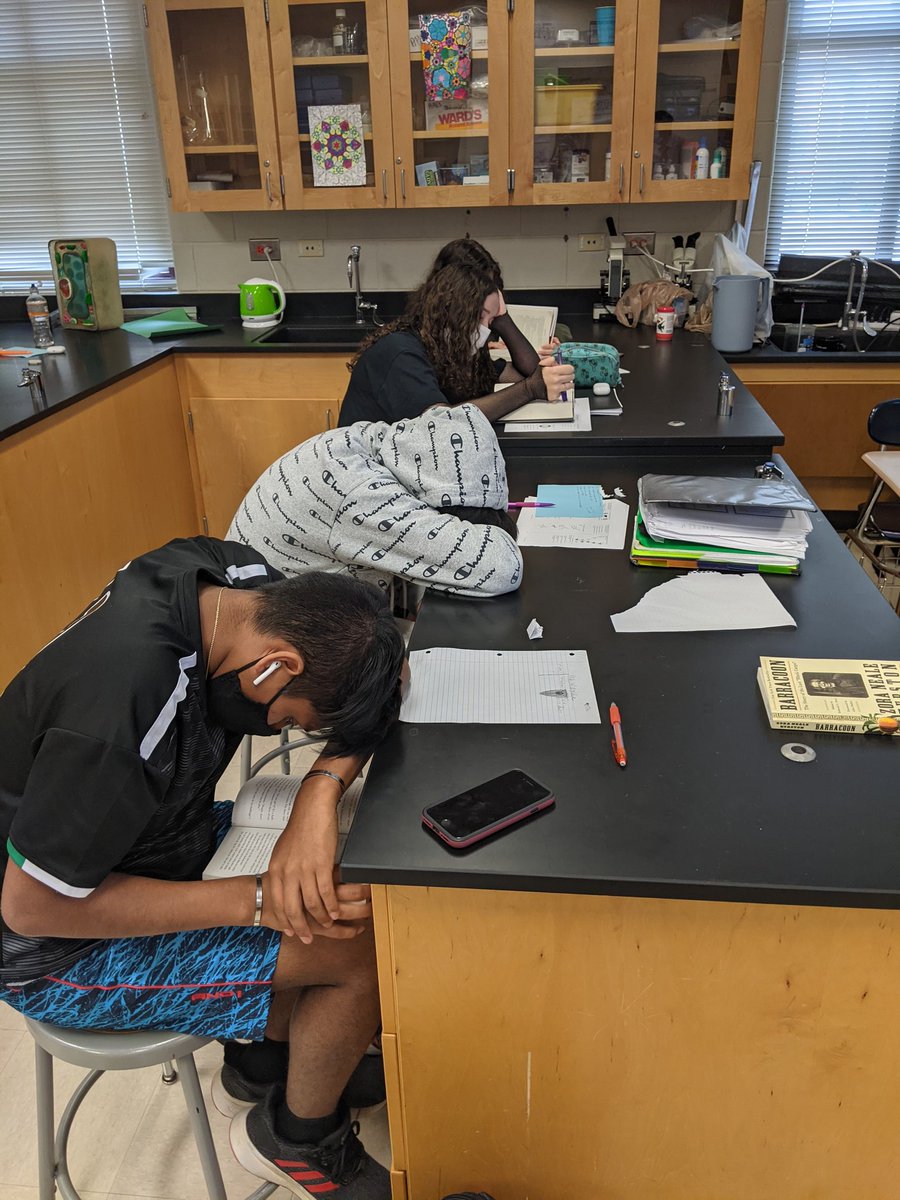 Katerina Flanders tweet media