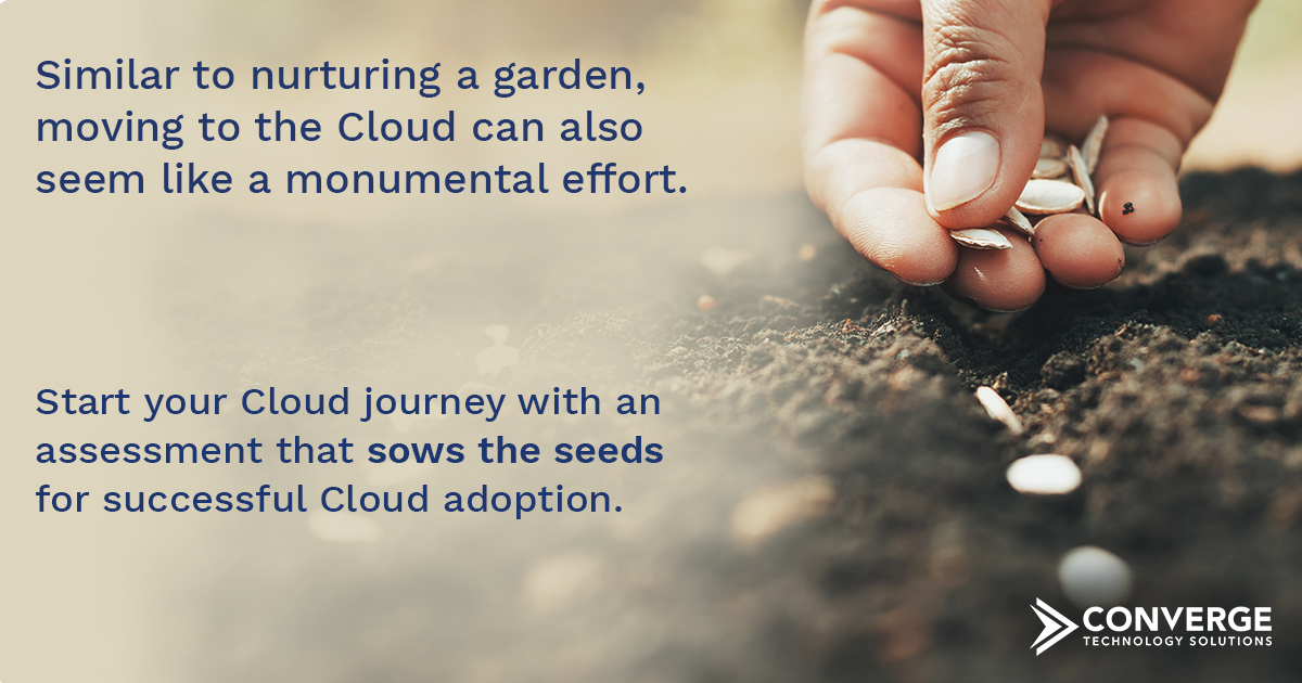 ConvergeTSC's tweet photo. Similar to how nurturing a garden can be a lot of work, moving to the Cloud can also seem like a monumental effort. Start your Cloud journey with an assessment that sows the seeds for successful adoption. Our Cloud BDM's can help your environment bloom. https://t.co/O9AEltzK0h https://t.co/WzOiCc0yY3