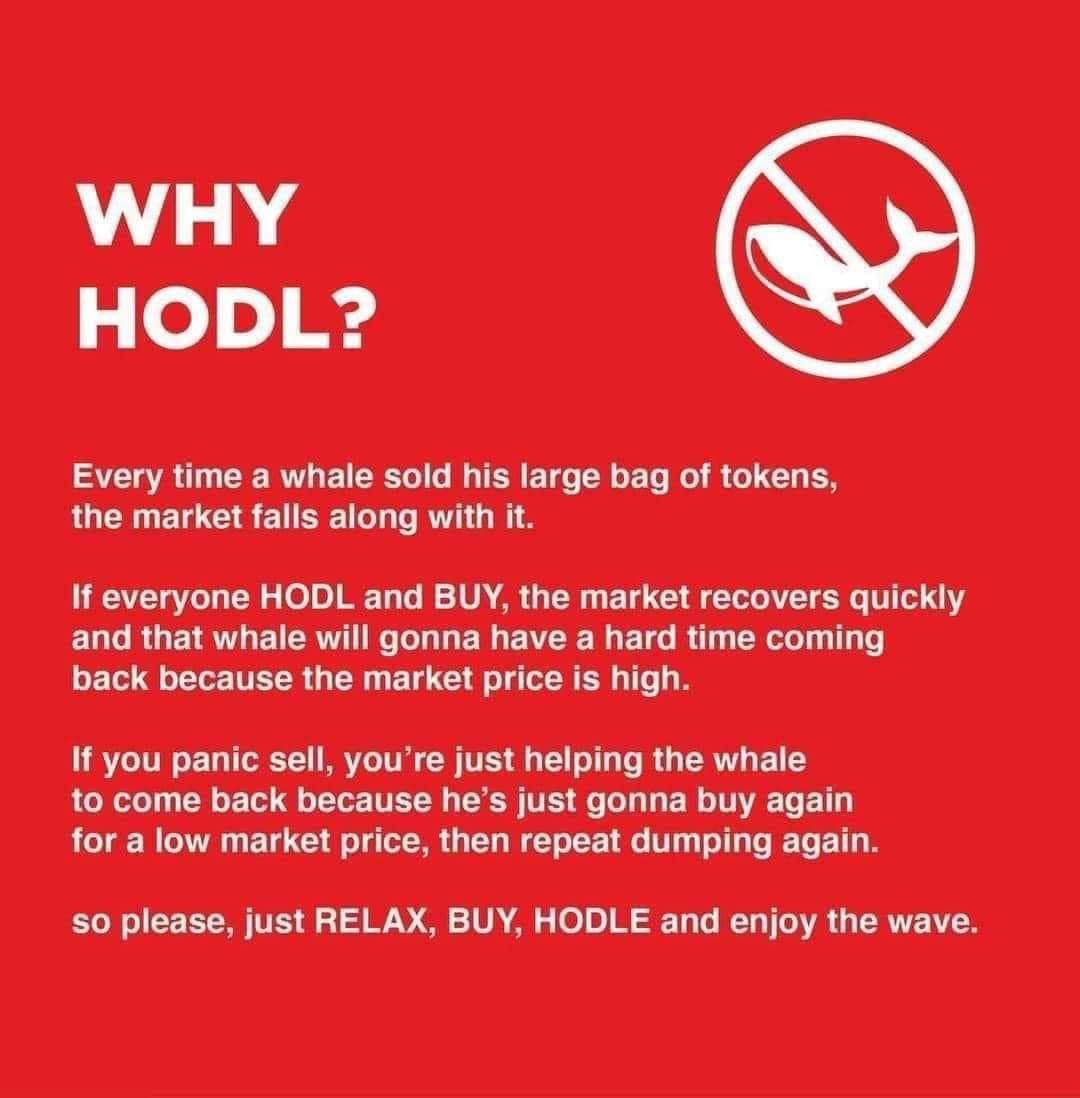 mico bryan esteban tweet media