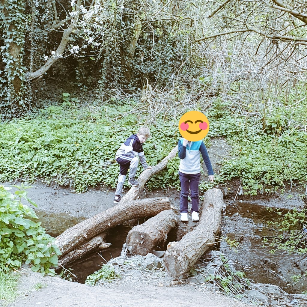GemmaAsh3's tweet photo. Walking with Albie is always my favourite thing to do. Walking with my best friend and her kids made it even better ❤ #postworkwalk #wellbeing #commonhealth2021 https://t.co/4TL1Ot4Fwu