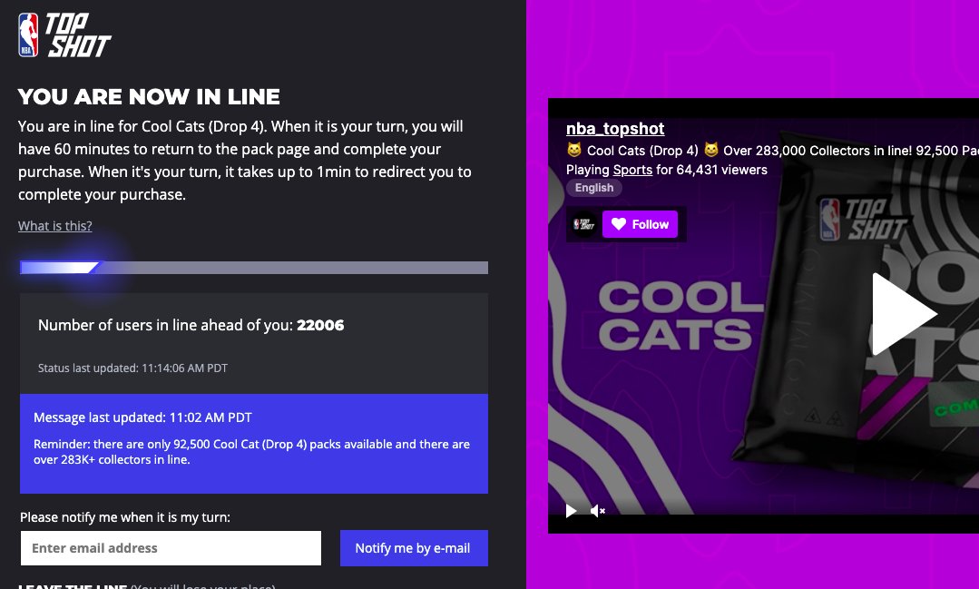 Killcommand247's tweet image. Just secured a spot to get a Cool Cats 4 Pack. And I am giving it away. 

Steps
1. Like this post and retweet
2. Like and comment your number for liking the showcase
nbatopshot.com/showcases/6fb8…

#TopShotShowcase #Topshotgiveaway #NBATopShot #nba #nbatopshotshowcase #NBATopShotThis