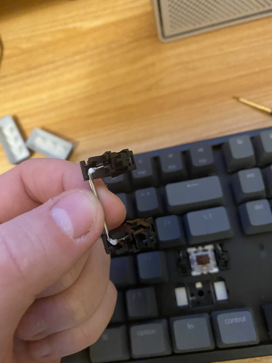 RaySwamp's tweet image. Modding