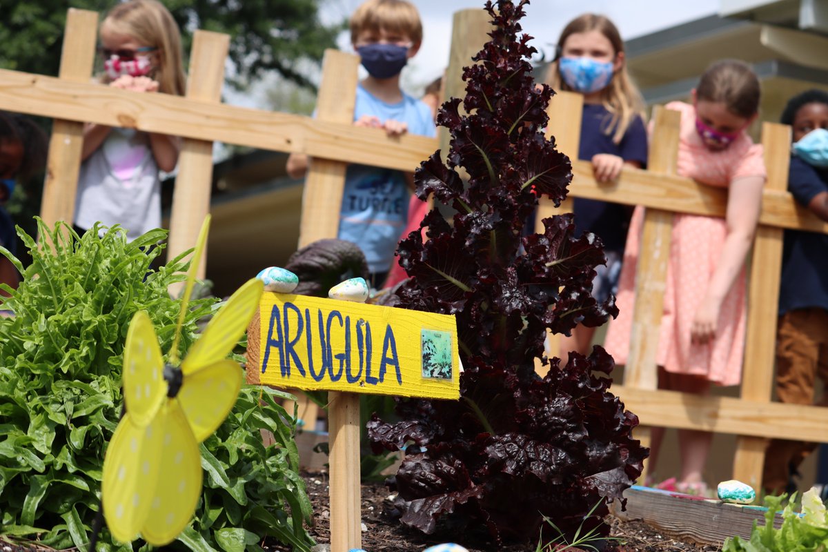 MarionCountyK12's tweet image. We have another one! Congratulations to @WardHighlands on becoming the #FANS Art, Music, and P.E. Extreme Garden Makeover Winner! 

#WeAreMCPS #imaFANwhe