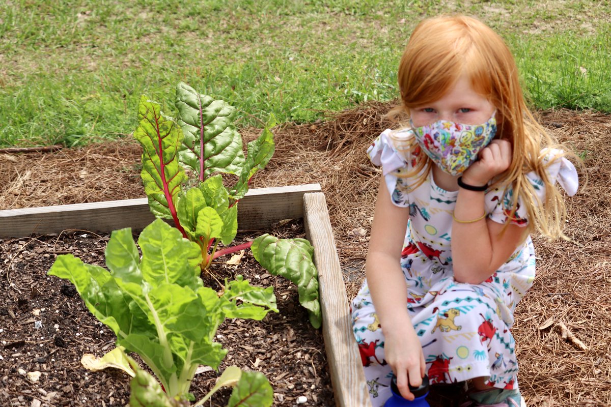 MarionCountyK12's tweet image. We have another one! Congratulations to @WardHighlands on becoming the #FANS Art, Music, and P.E. Extreme Garden Makeover Winner! 

#WeAreMCPS #imaFANwhe