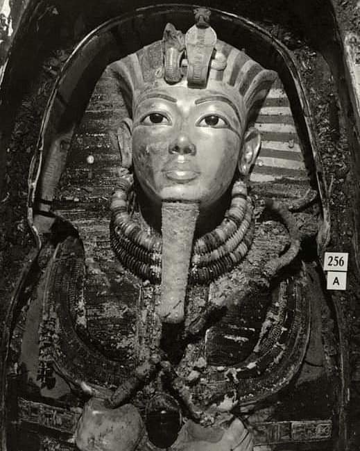 redhistoria's tweet image. Fotografía del sarcófago de Tutankamón de 1922. #Egipto #egiptología #HowardCarter