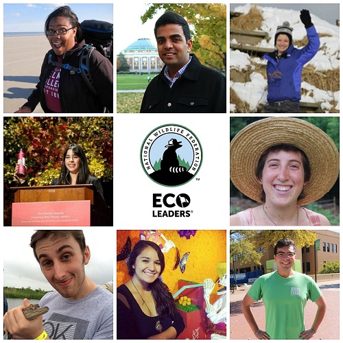 Deadline 4/21: NWF Grad Student Research #Fellowships Learn more and apply: bit.ly/30gftl5