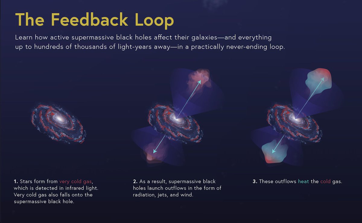 Infographic text: The Feedback Loop
Learn how active supermassive black holes affect their galaxies—and everything up to hundreds of thousands of light-years away—in a practically never-ending loop.

1. Stars form from very cold gas, which is detected in infrared light. Very cold gas also falls onto the supermassive black hole.
2. As a result, supermassive black holes launch outflows in the form of radiation, jets, and wind.
3. These outflows heat the cold gas.