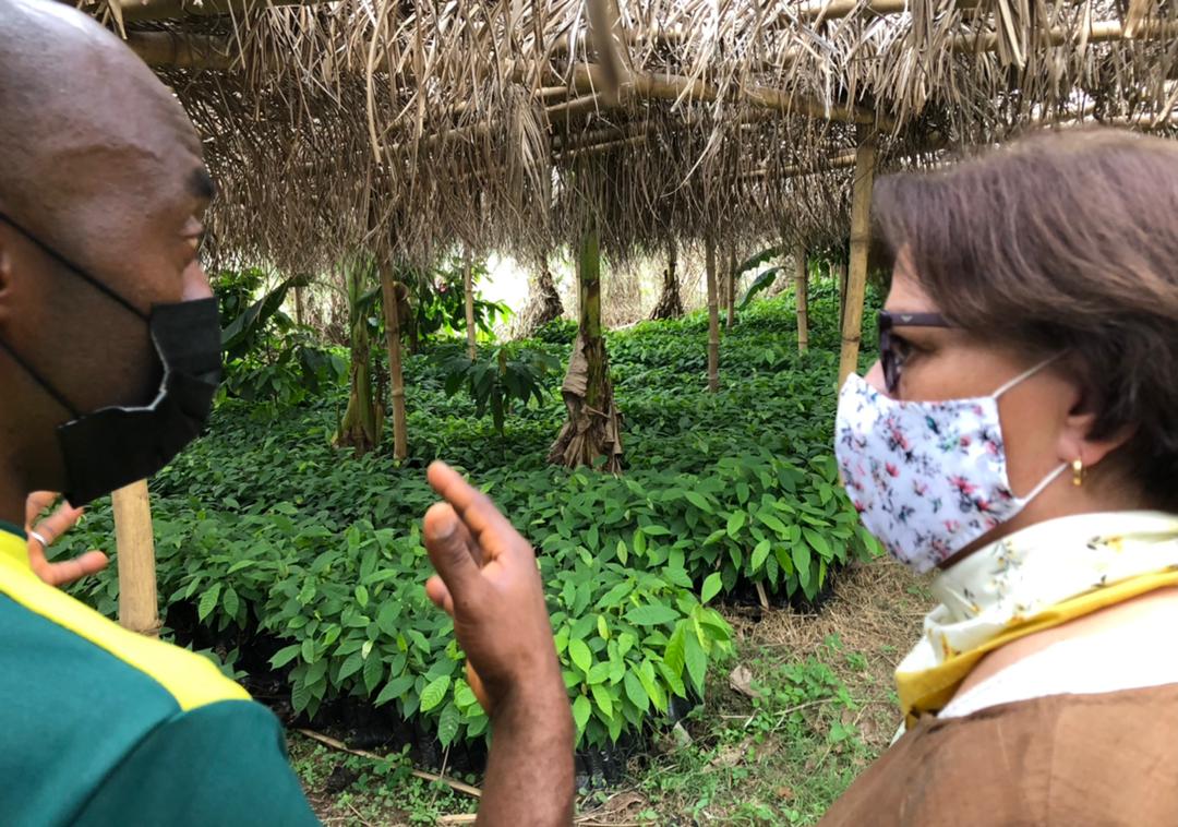 USinNigeria's tweet image. Investing in smart and efficient farming is key to food security in Nigeria. Pleasure to visit Springboard which helps increase farmer’s income through cooperative and innovative agricultural approaches! #InvestingInNigeria #Food #USinNigeria