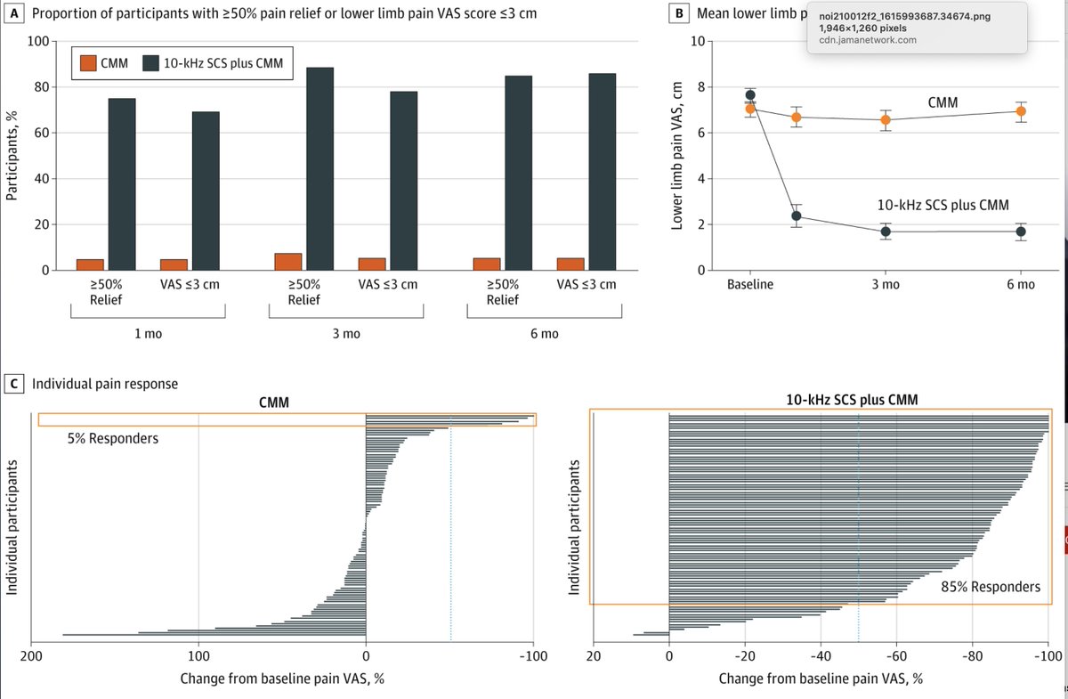 Dr. Erika Petersen tweet media