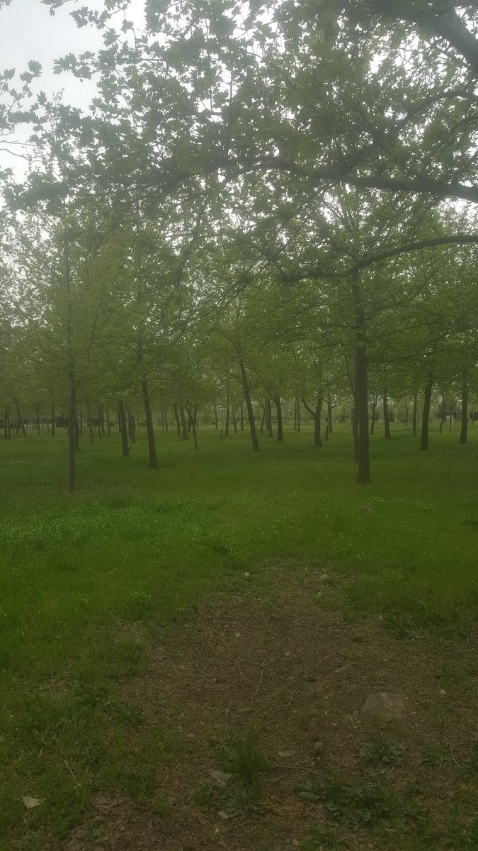 Dışarda hayat var tabi birde corona😂😁🤣