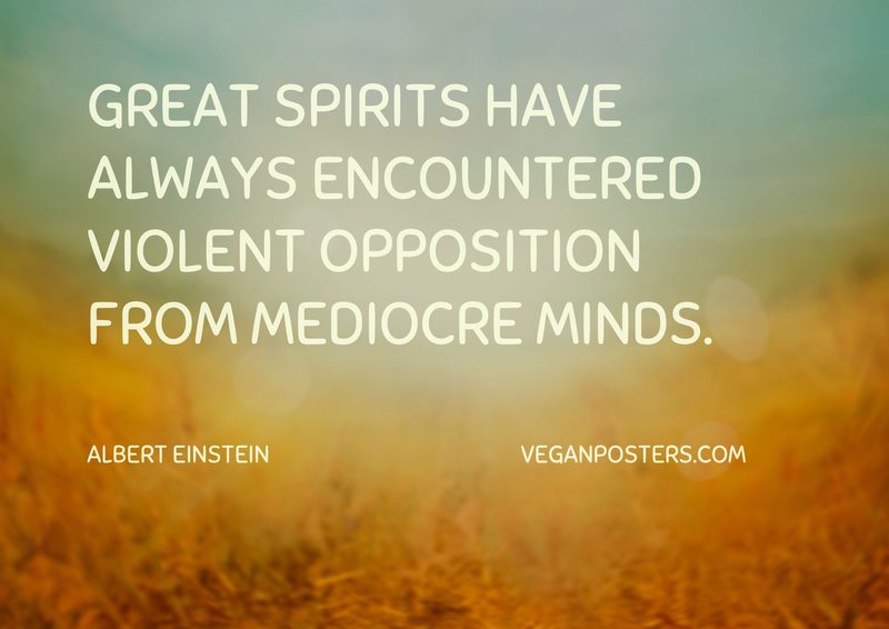 Great spirits have always encountered violent opposition from mediocre minds. - Albert Einstein #vegan https://t.co/vSHG67ZPCE