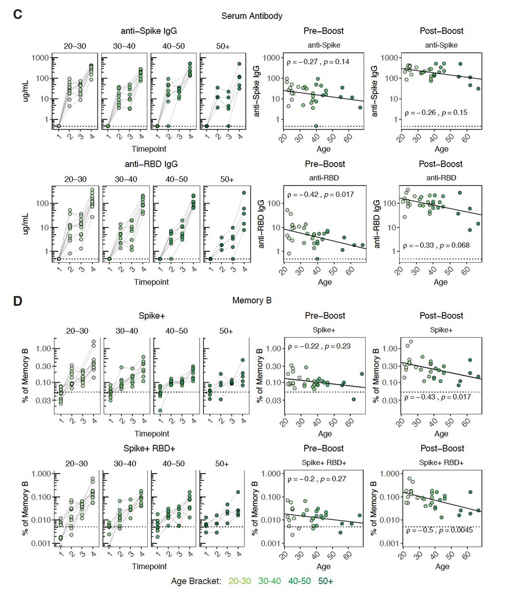 Another question we get a lot: how does age affect vaccine response? There is a slight negative trend btw/ age and antibodiesWe do see a stronger association btw/ age and memory B cells post-boost, but everyone is still over baseline so something to keep an eye on longer-term