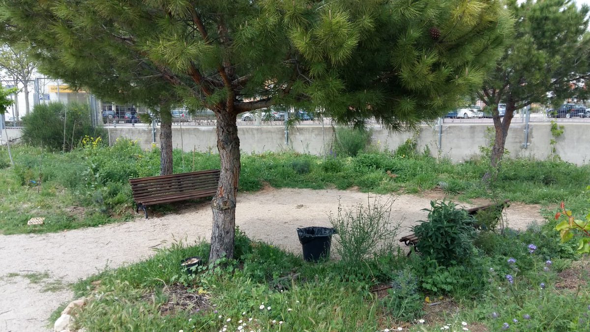 bertaeco's tweet image. Qué buena noticia tenemos hoy para compartir! José María y sus alumnos de 1 de Carrocería, ya han colocado los dos primeros bancos en el bosque. Todavía faltan 11 por colocar.Estaban muy deteriorados y el @aytoguadalajara nos los cedió. #educarfuera #sembrandoelcambio