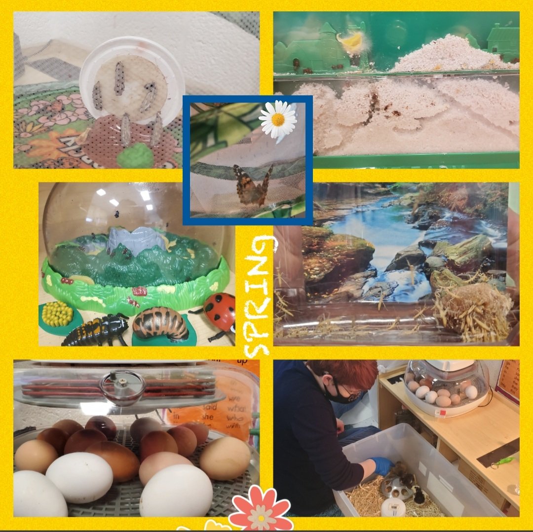 @1Hoopermom tweet media