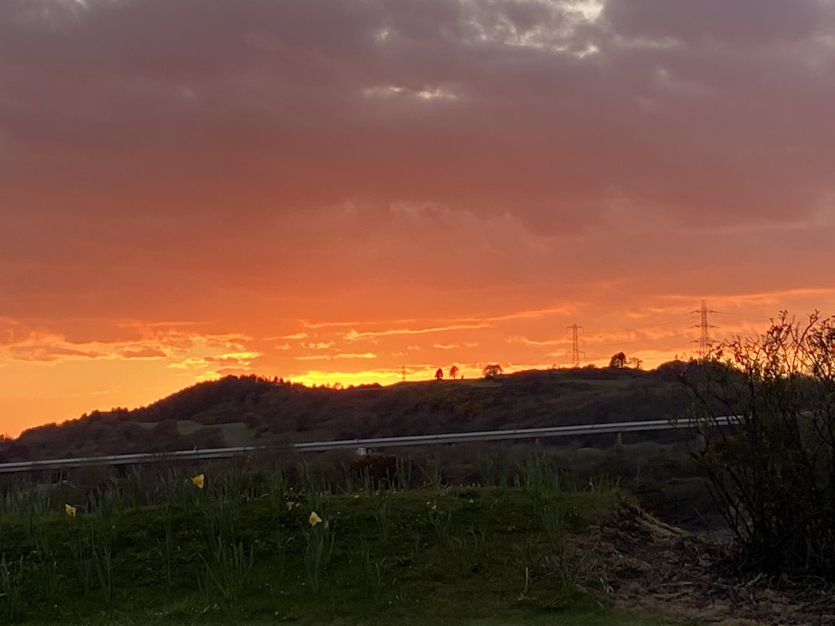 Lexiedog3's tweet image. Zoomies on the beach tonight, I’m such a lucky girl 🐾❤️