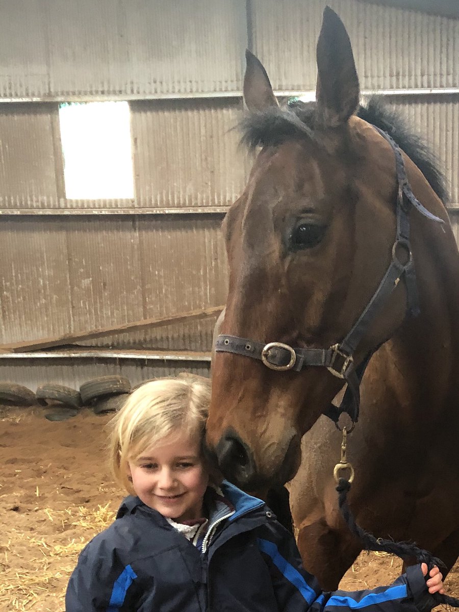 m5ryw's tweet photo. Very sad to read about the passing of Presenting Percy. Lucky enough to get to see him free school and feed him carrots at PG’s. Such a gorgeous and gentle boy and he was absolutely adored there. #RIPPercy https://t.co/yoPR33E2tt