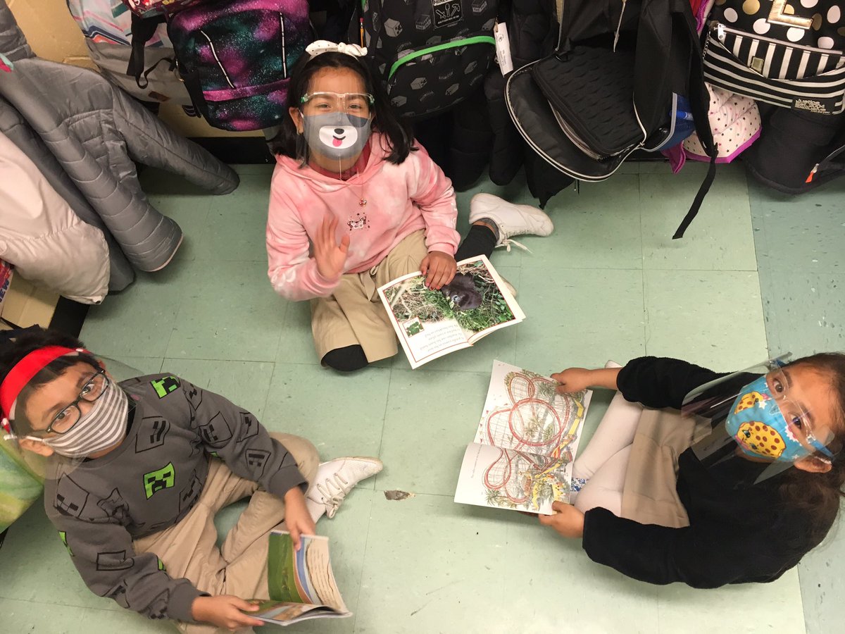 Our 2nd graders enjoyed some group work today discussing different types of non fiction books. 😊📚