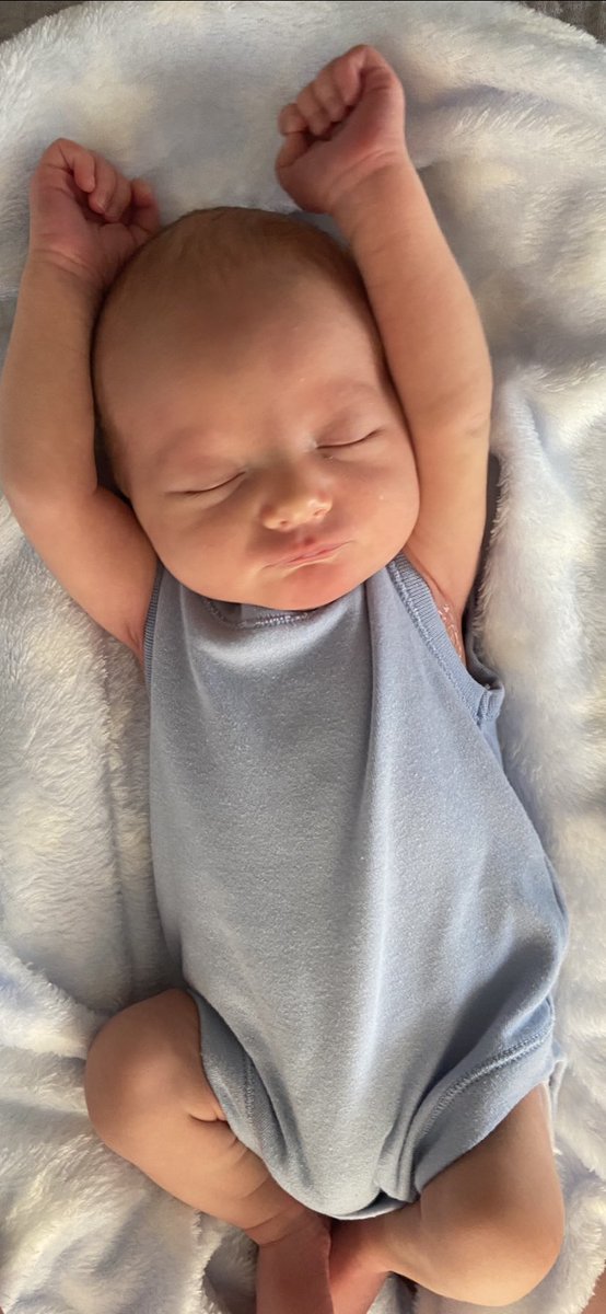 He’s perfect 😍 <a href="/RayRb1974/">Ray Bird</a> xx