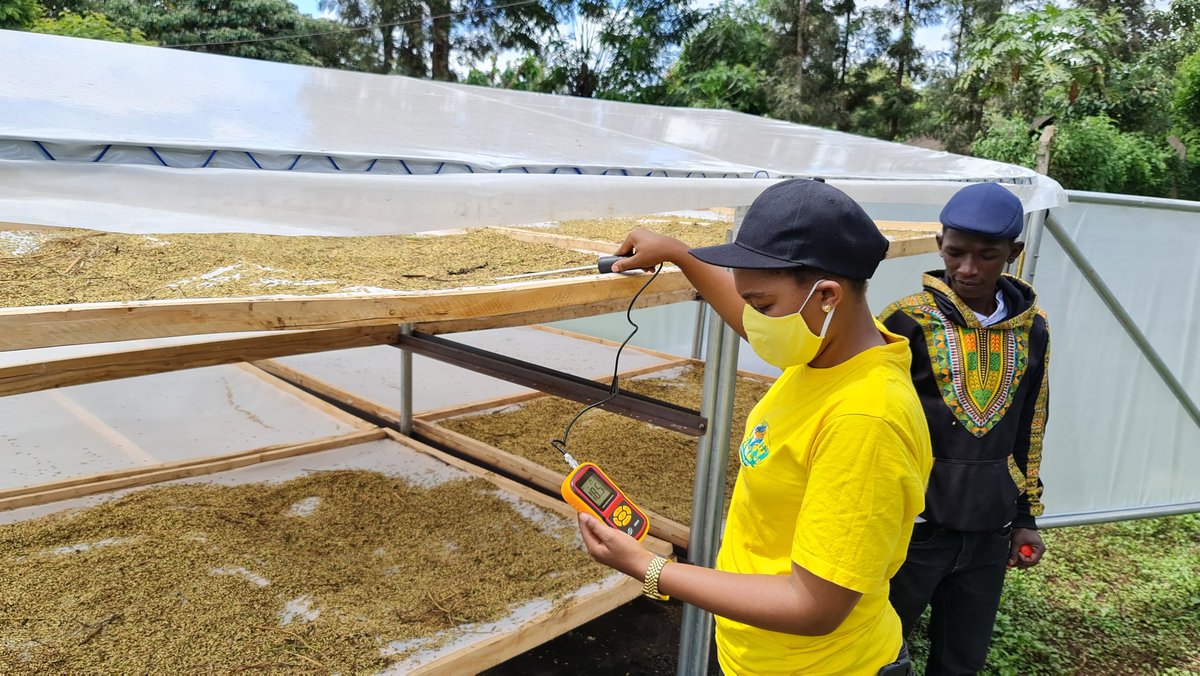 RichardMunang's tweet photo. #innovativevolunteerism is the biggest alliance ever to drive #ClimateAction by willing young people who voluntarily volunteers themselves to retool thier skills  to turn challenges into opportunities. This is the buttom up approach to drive Climate resilient development https://t.co/lnnk74bcXH