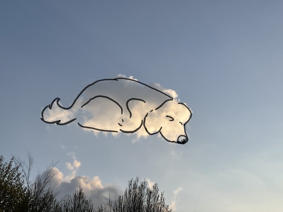 chriswalsh's tweet image. Lovely sky this evening.  couldn’t decide if this cloud was a turtle or a sleeping dog.