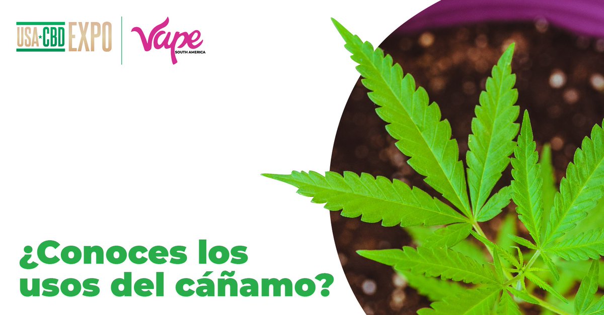 El #Cáñamo es la fibra natural más fuerte del mundo.
Estos son algunos de sus posibles usos:

👖 Textil
⛺ Textil industrial
📄 Papel
🥙 Comida
🏠 Materiales de construcción
💧 Cuidado de la piel

¿Conoces algún otro uso del #cáñamo?

 #usacbdexpo #culturacannabica #educanna