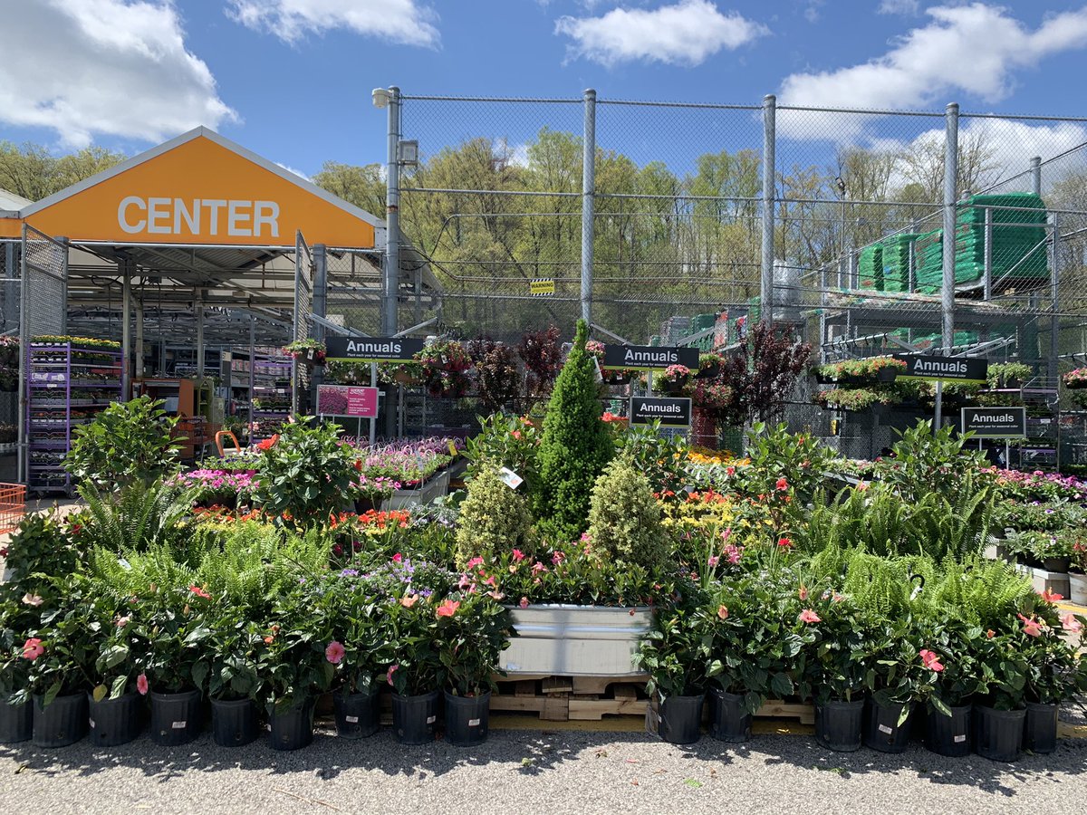 HD 2016 is looking amazing after a day of cleanup! Thanks so much for all your support with watering! 🤩🌈 <a href="/Amazonwarrior19/">Glenda Smith</a> <a href="/NalleyChris/">nalley's</a> <a href="/EldredPeterson/">Pete Peterson</a> <a href="/Pat_Fischetti/">Patrick Fischetti</a> <a href="/rmathis333_rick/">Rick Mathis</a> <a href="/BellNursery/">Bell Nursery</a> <a href="/AprilfromBell/">April from Bell</a>