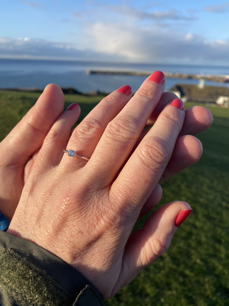 Carole Heffernan-Davis tweet media