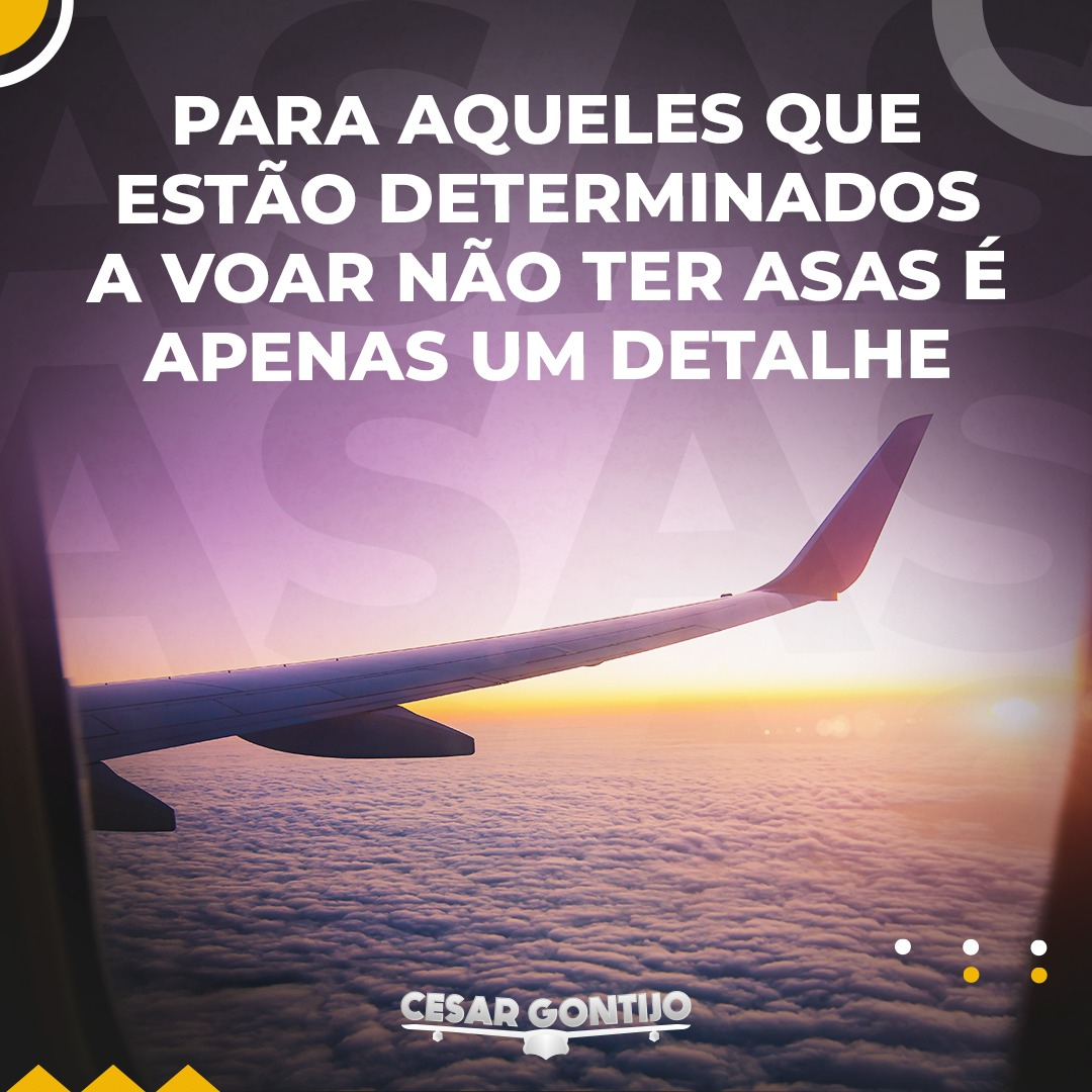 Cesar Gontijo on Twitter: Cesar Gontijo on Twitter: