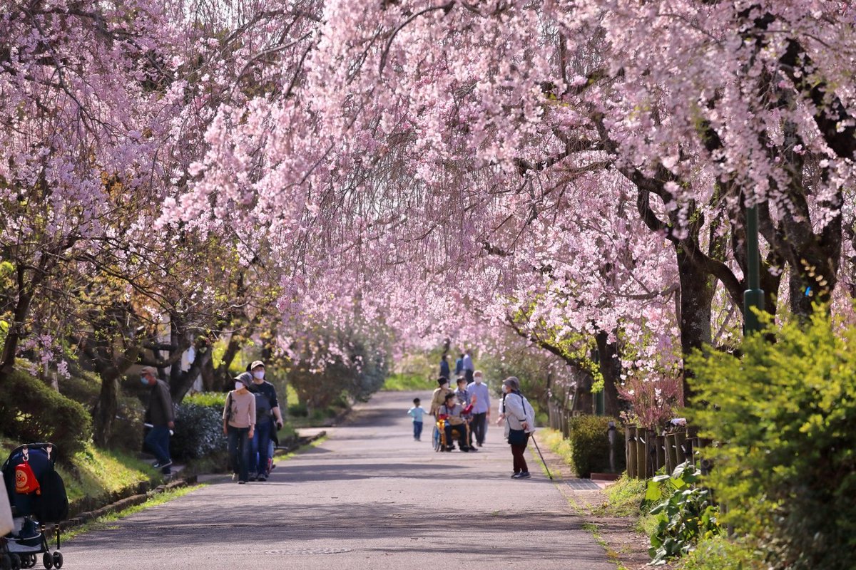 東谷山フルーツパーク