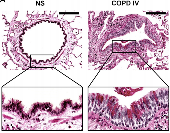 jordi vilaró tweet media