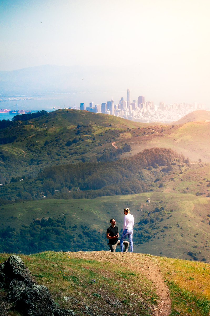 Yano 🟪 tweet media