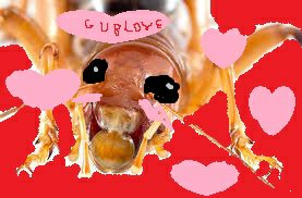 LeafyVanGoghVT's tweet image. #bugbugart